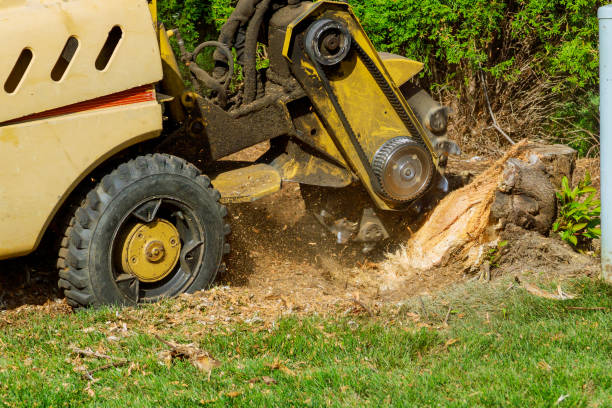 Best Lawn Grading and Leveling  in Volcano Golf Course, HI